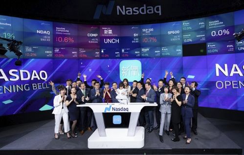 新氧科技医美非标之困 流量变现受阻与科技中介服务挑战